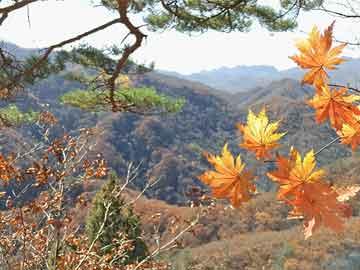 解“三人相逢七有緣十五明月月宮見(jiàn)”指什么生肖